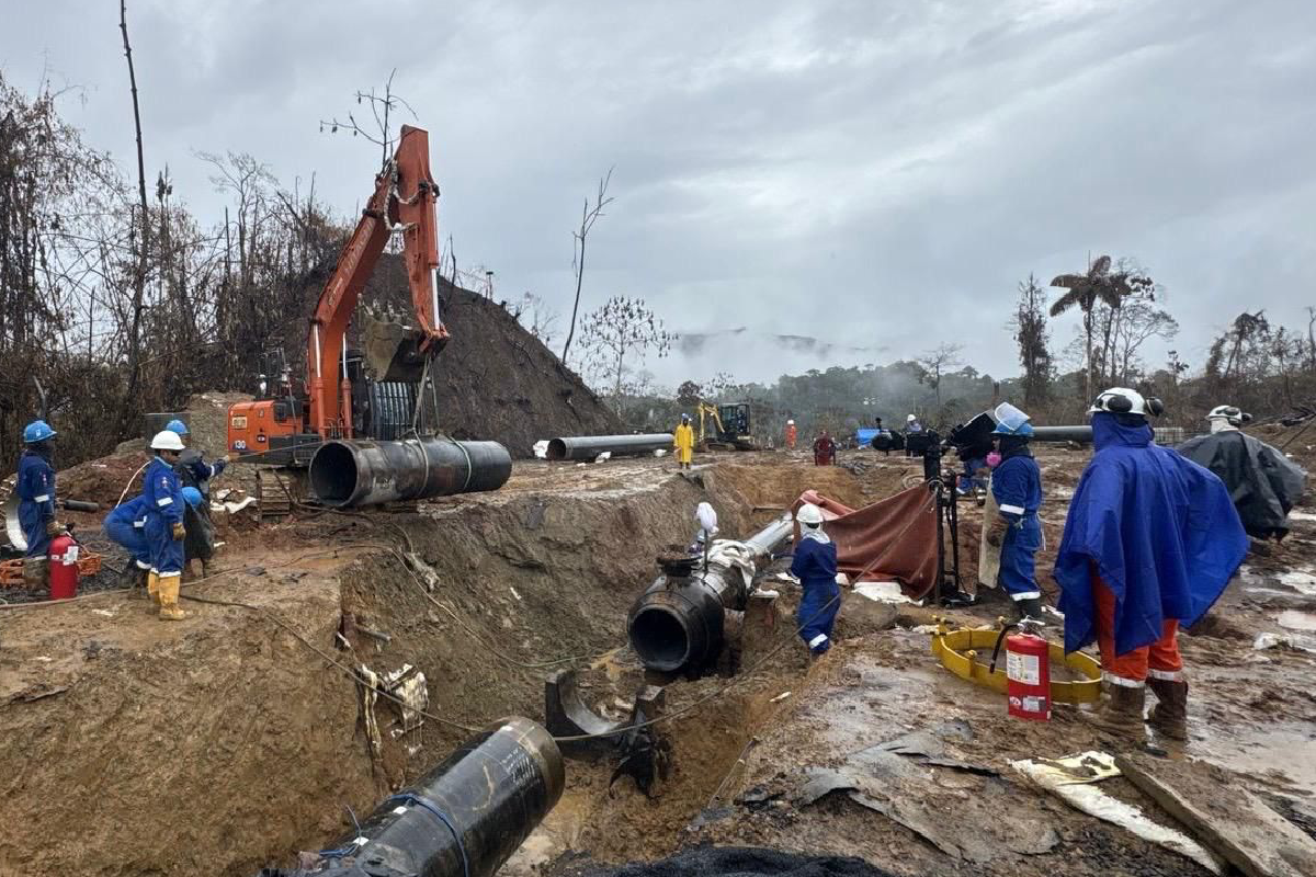 <p>Osinergmin: TGP incumplió contrato al no asegurar abastecimiento durante crisis del gas natural</p>