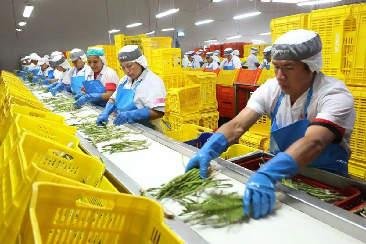 mincetur-agroexportaciones-peruanas-superarian-los-us16000-millones-este-ano