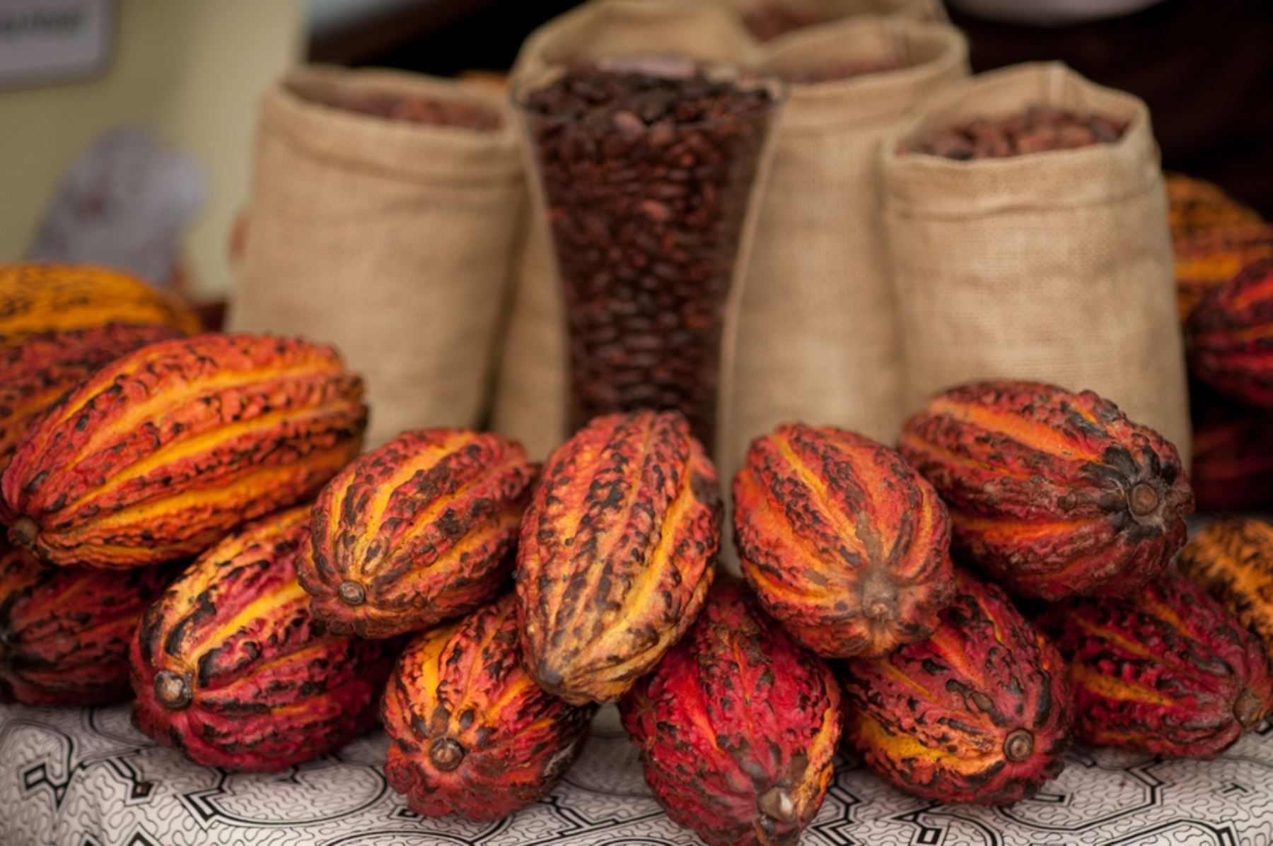 <p>Cacao deja atrás sus récords y obliga al sector a recalibrarse</p>