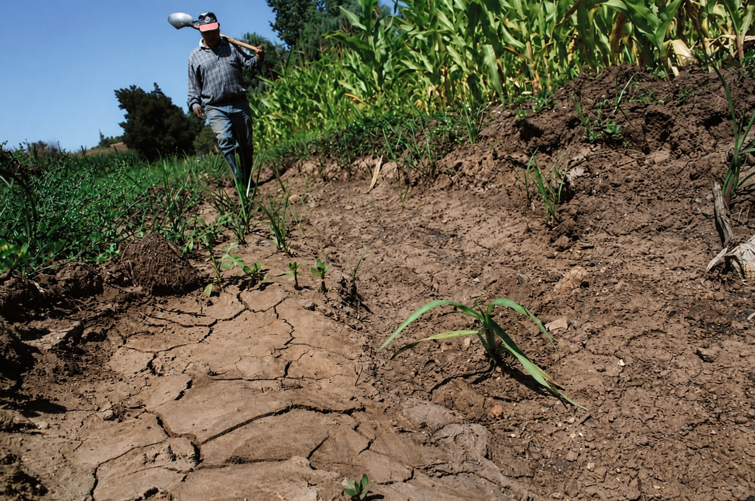 <p>El agro encara un escenario más difícil por el riesgo climático</p>