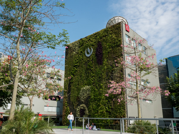 UPC: cuando la universidad mide su impacto más allá del aula
