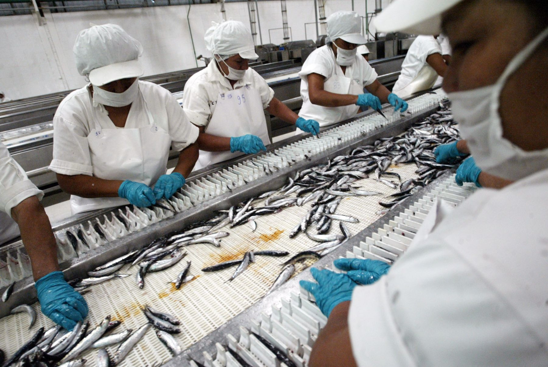<p>Economía peruana: PBI pierde fuerza y crece solo 1.80% en mayo, por debajo de las expectativas</p>
