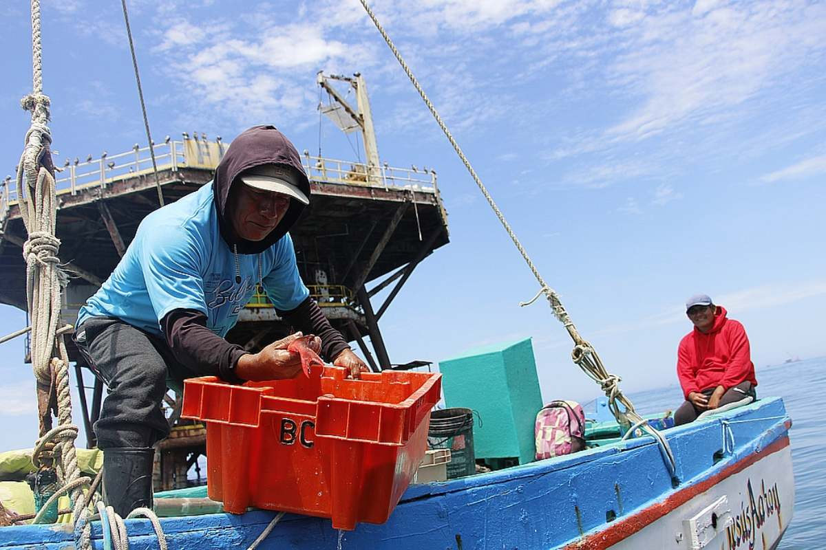 sni-82-de-empresarios-pesqueros-preve-una-alta-o-muy-alta-afectacion-por-el-fenomeno-el-nino