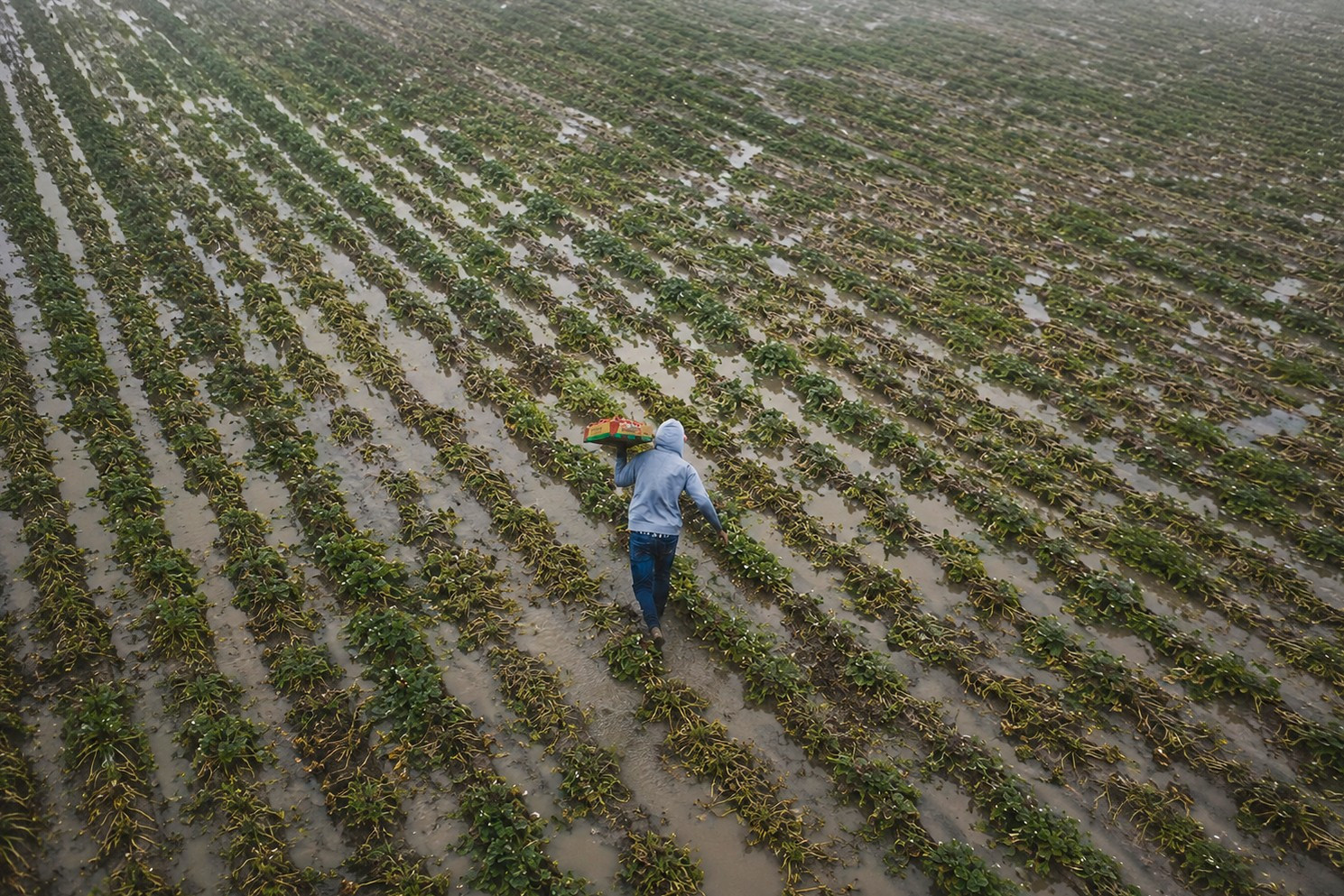 <p>Fenómeno El Niño: empresas evalúan reducción de jornada y suspensión perfecta ante la menor actividad</p>
