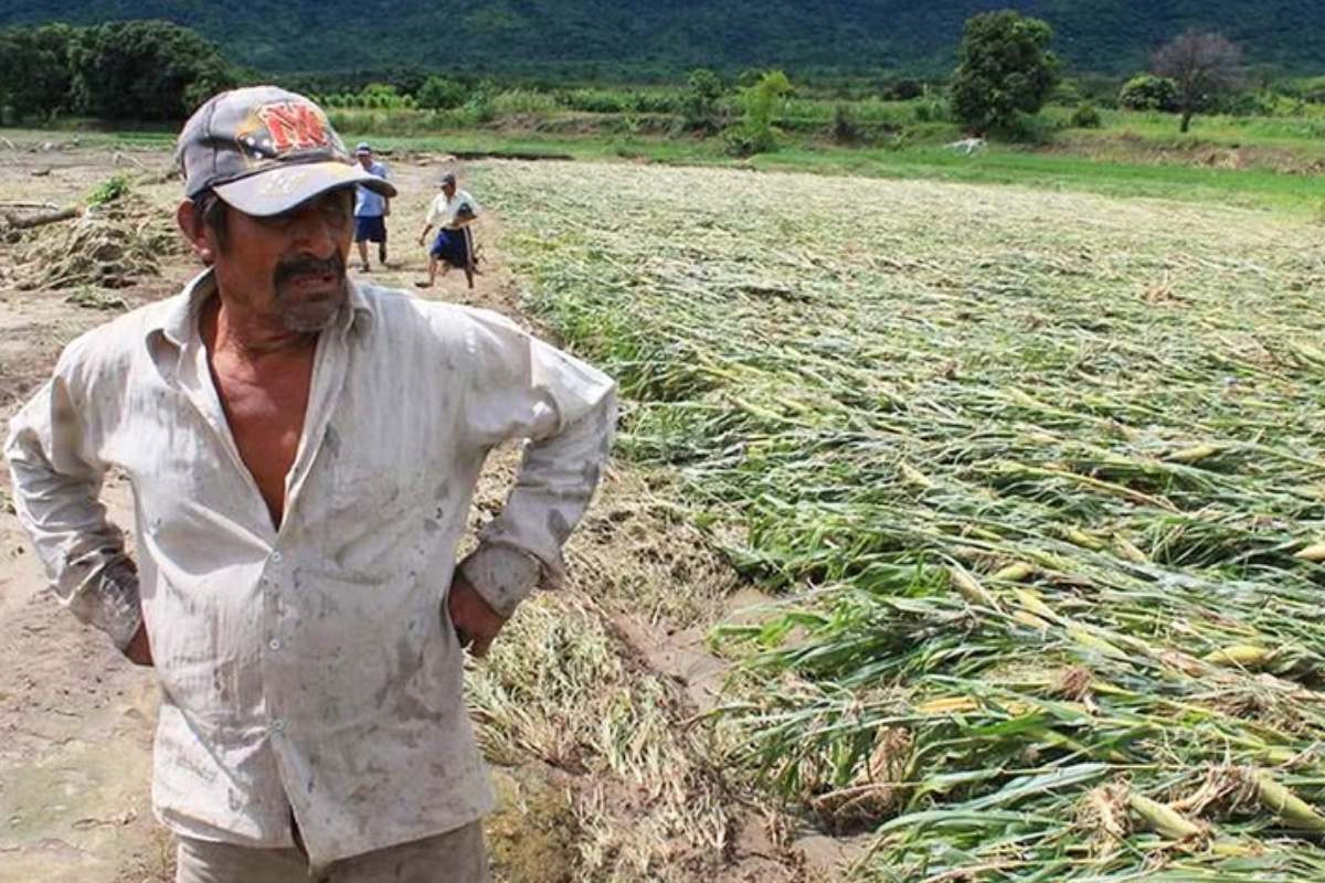 agap-y-empresas-de-sus-agremiados-destinaran-mas-de-s100-millones-para-enfrentar-fen
