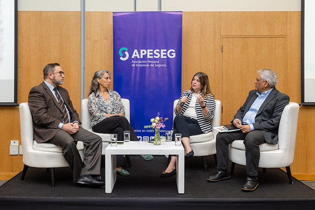 <p>APESEG: "No elegimos el desastre, pero sí nuestro nivel de preparación"</p>