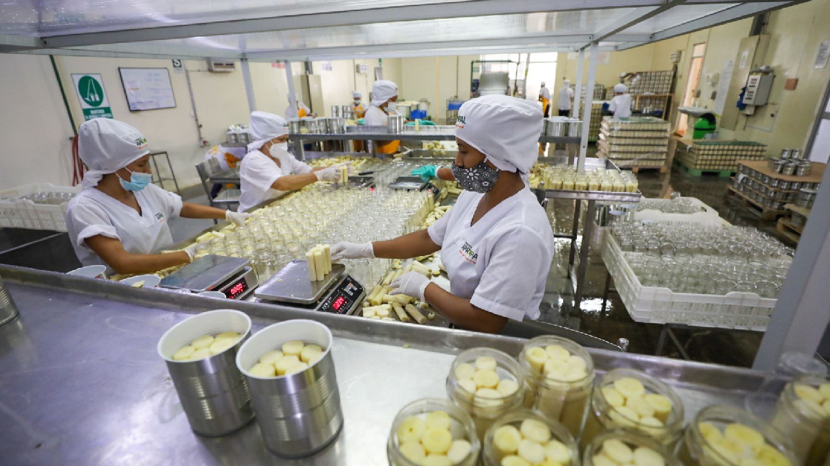 <p>La mayoría de indicadores de expectativas empresariales se deterioró en setiembre</p>