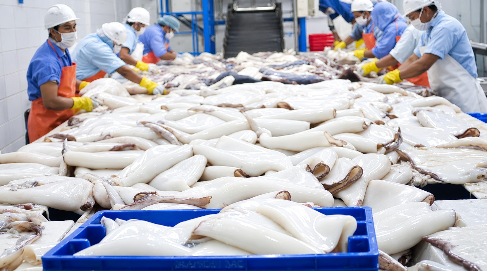 <p>Pesca: el motor al que se aferrará para intentar mitigar el 'temporal' de El Niño</p>