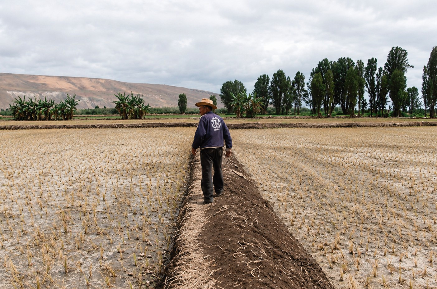 <p><span class="ql-cursor">﻿</span>Sector agropecuario: menor margen para invertir</p>