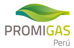 Promigas