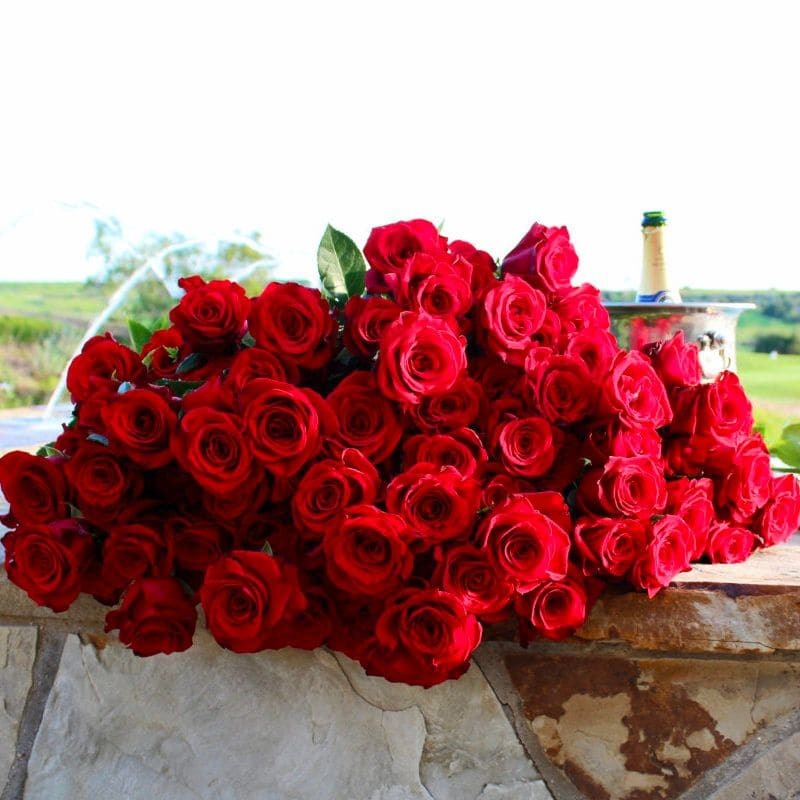 Birthday Flowers