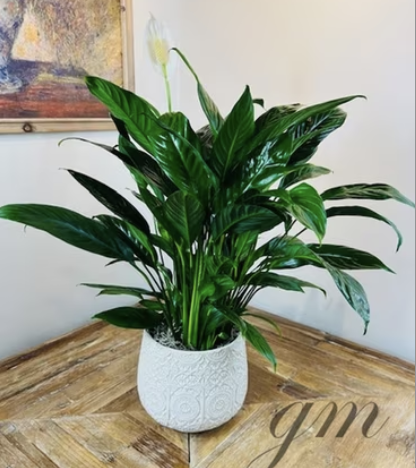 Floral Arrangements