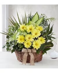 Floral Arrangements