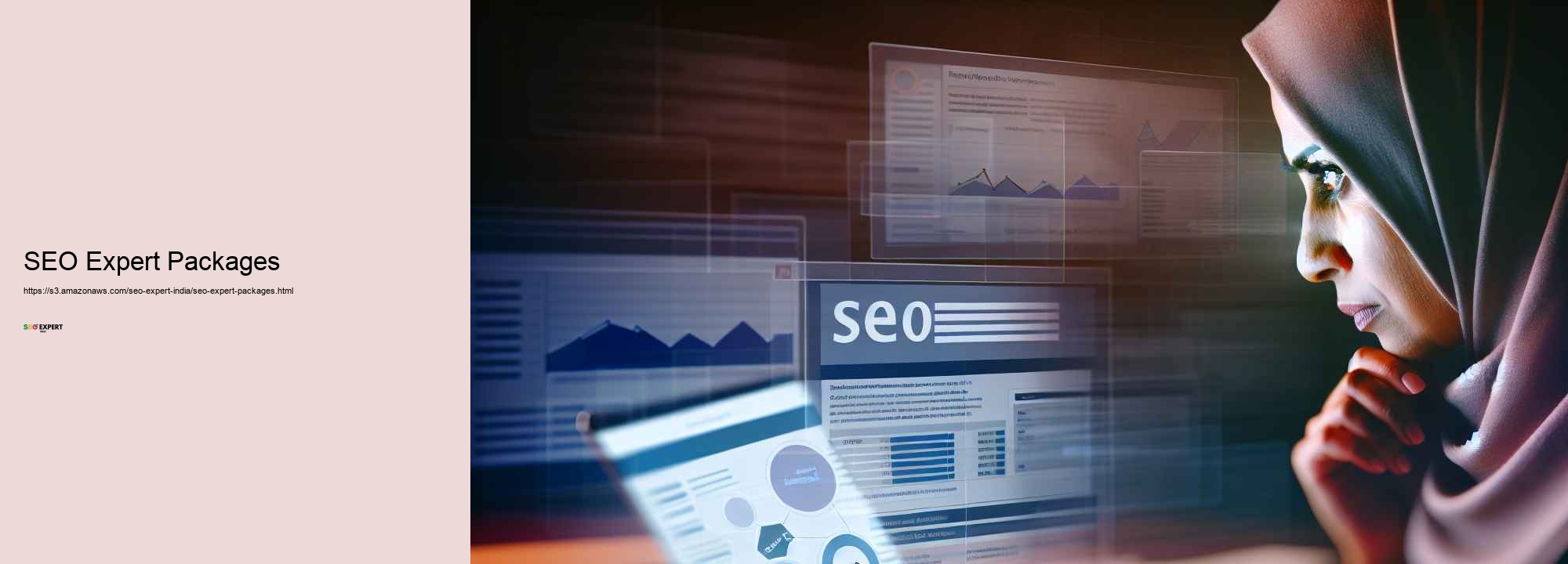 The Role of a Seo Specialist in Boosting Your Online Existence in India