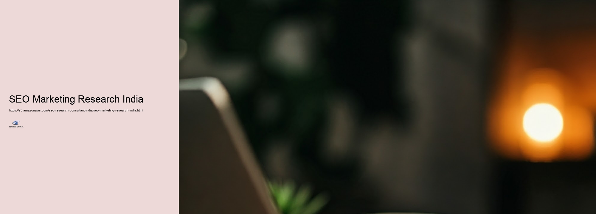 Key Benefits of Working with a SEO Research study Research study Professional in India