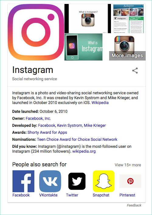 Knowledge graph example on serps page
