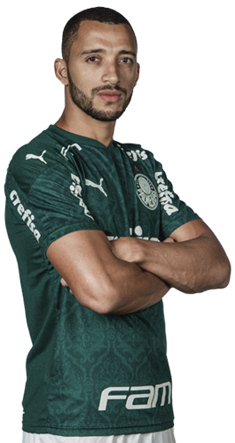 Vitor Hugo Franchescoli de Souza