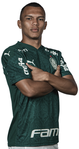 Gabriel Veron Fonseca de Souza