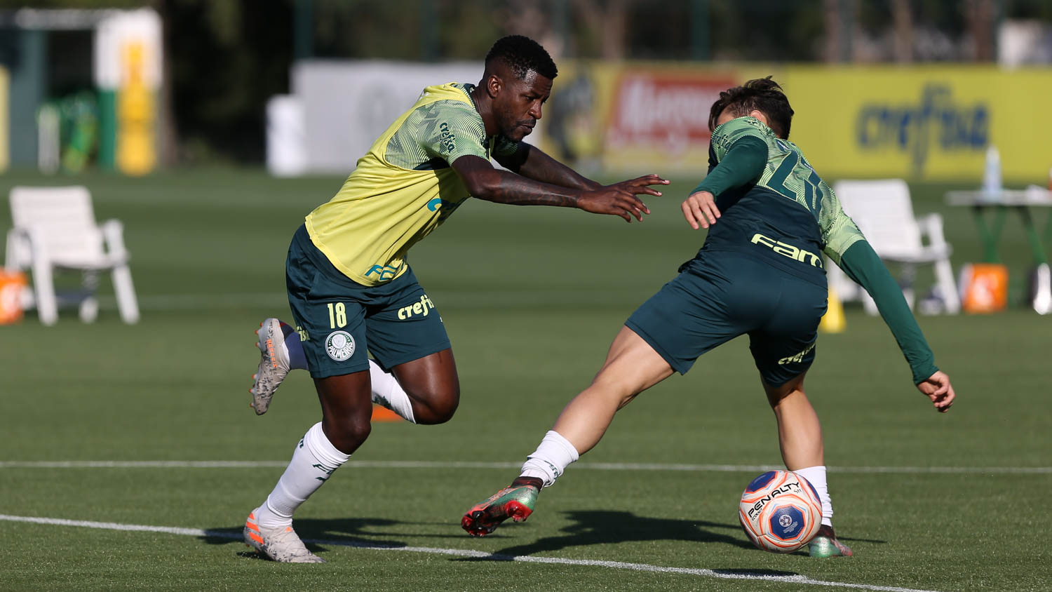 Palmeiras se reapresenta na Academia e visa sequência do Paulistão