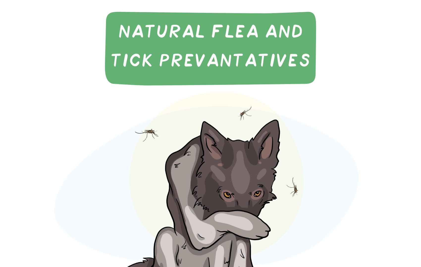 Natural Flea and Tick Preventatives
