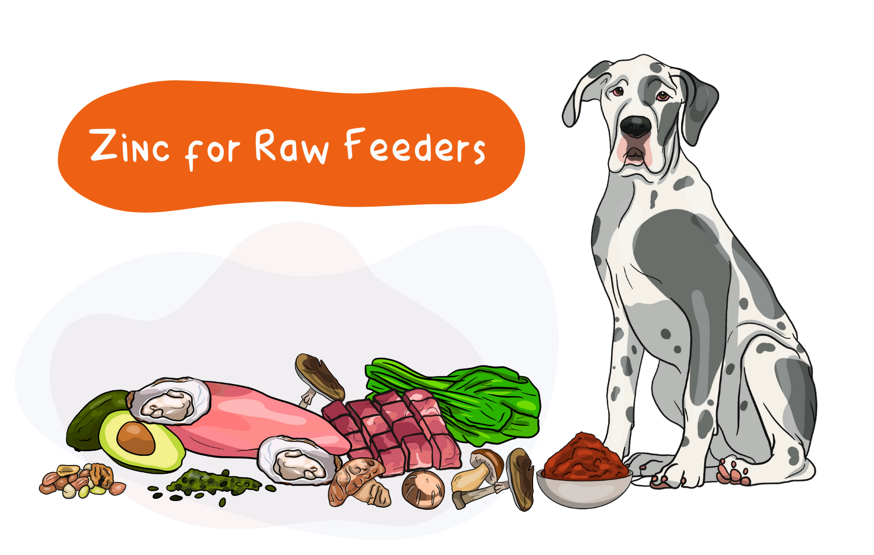 Zinc for Raw Feeders