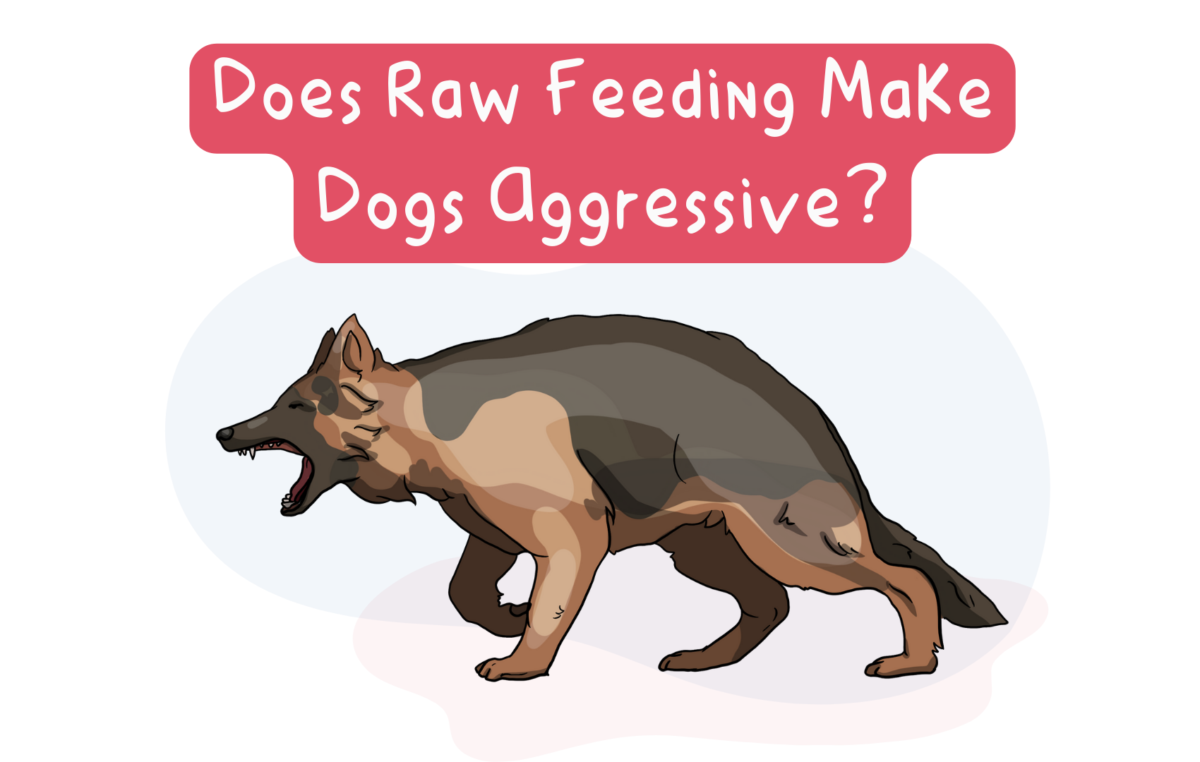 Does Raw Feeding Make Dogs Aggressive?