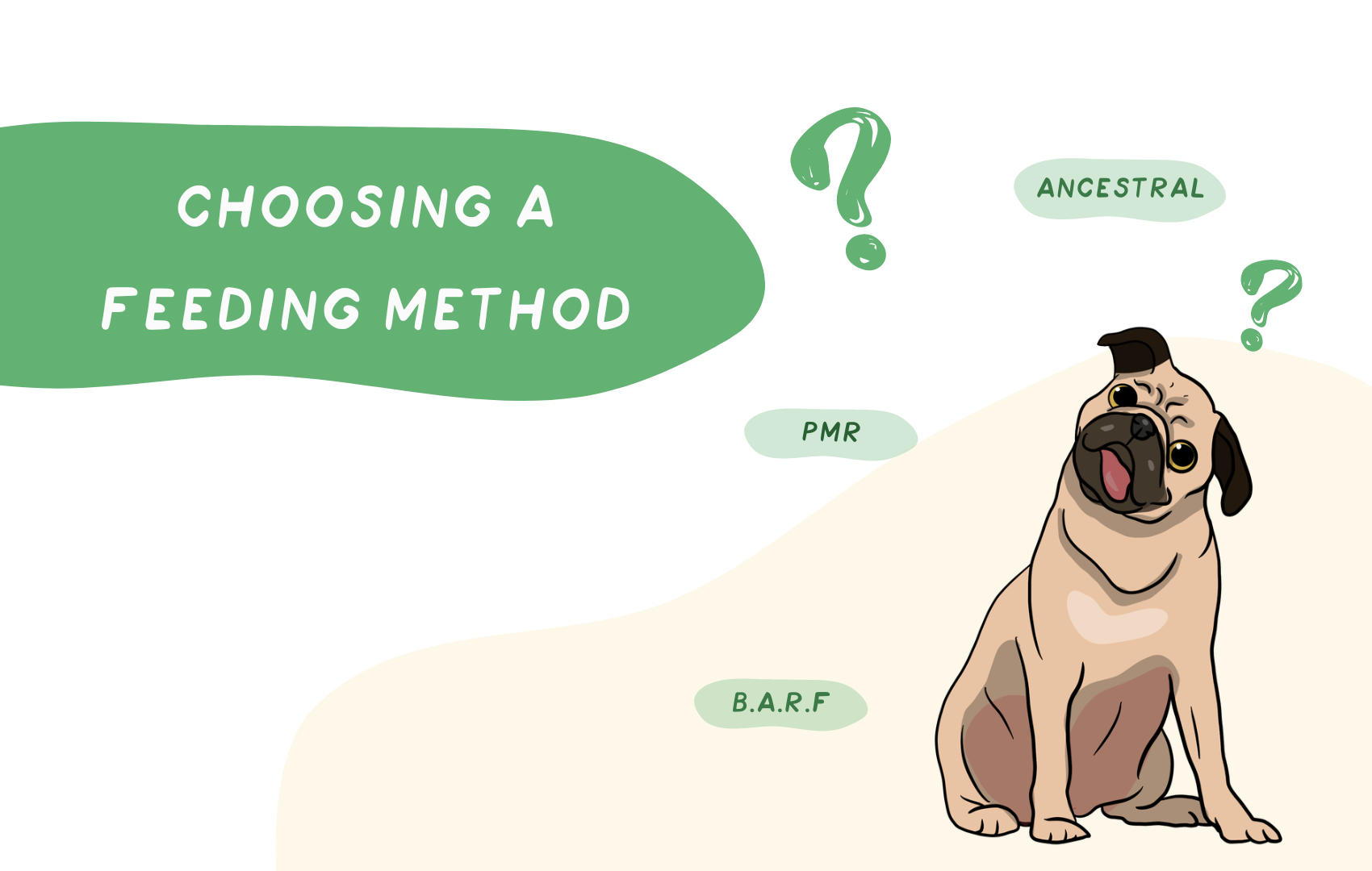 Choosing a Feeding Method
