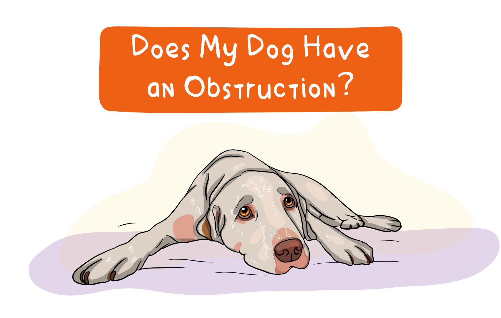 Does My Dog Have an Obstruction?