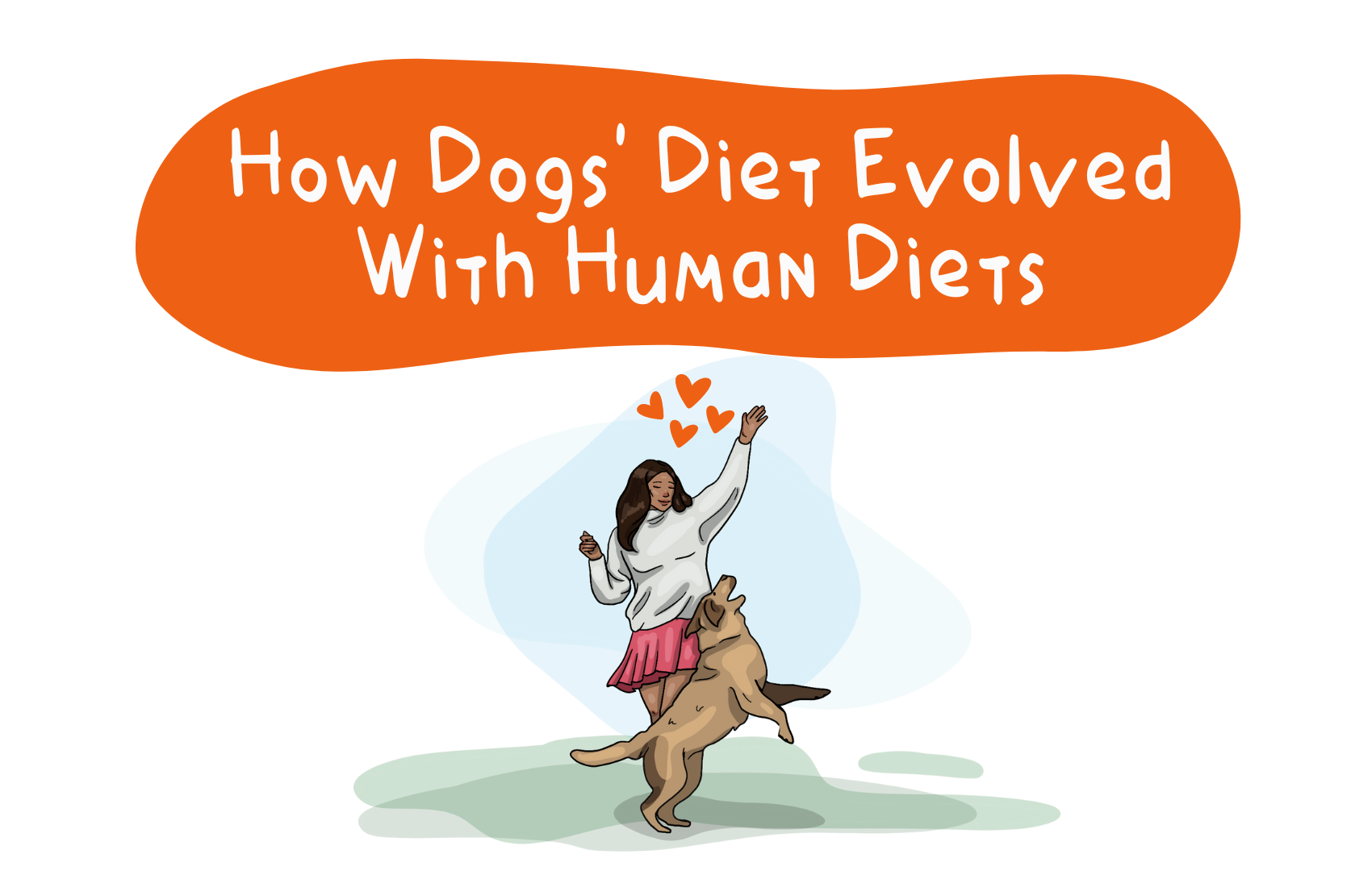 The History Of The Dog's Diet and How It Evolved With Human Diets