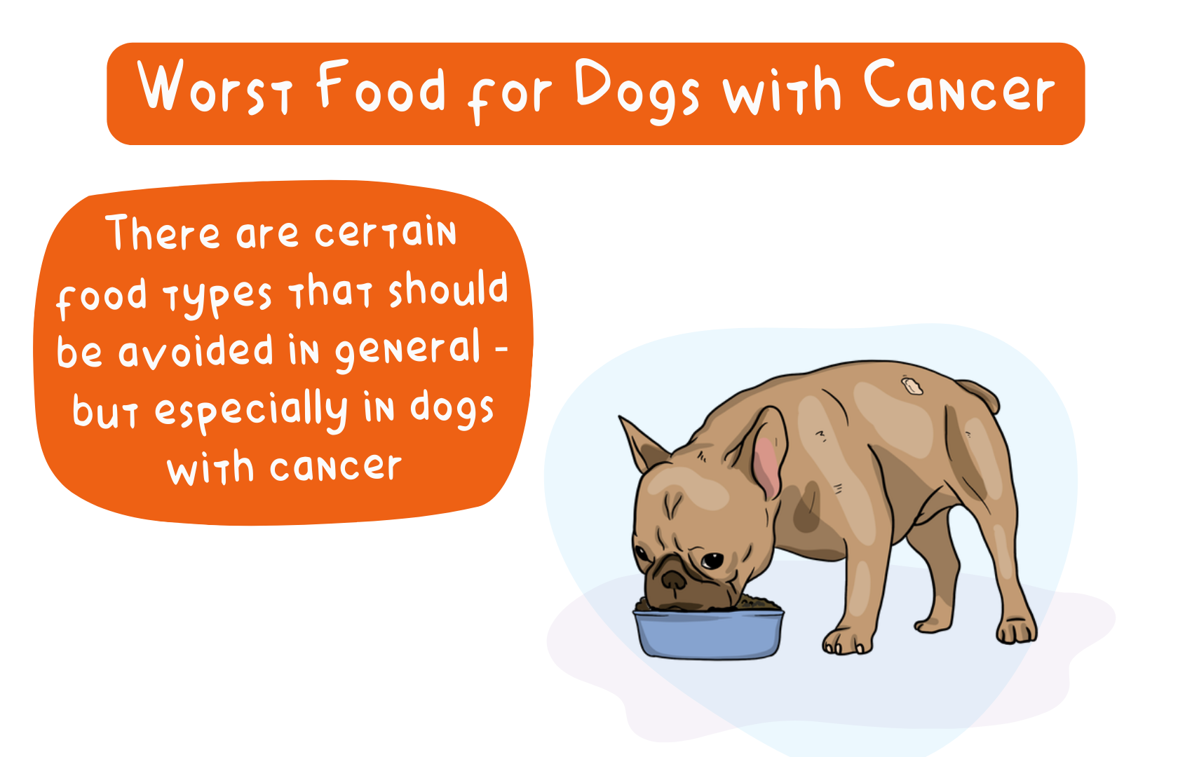 Worst Food For Dogs With Cancer