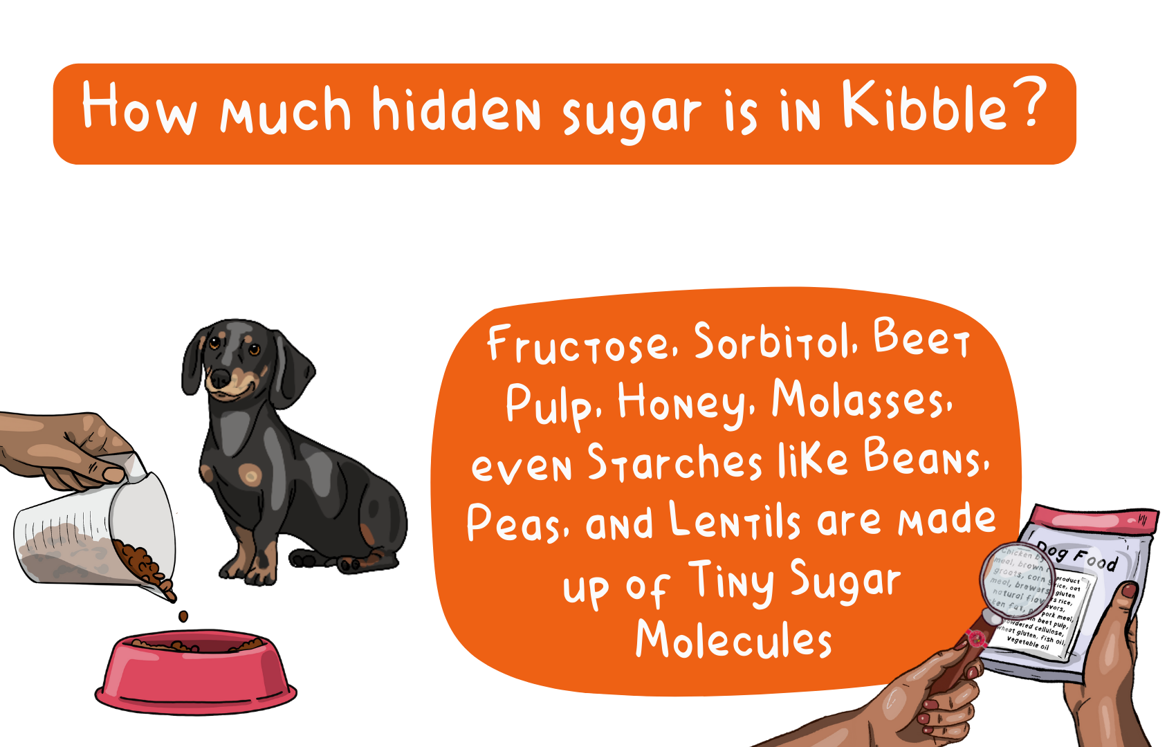 How Much Hidden Sugar Is In Kibble?