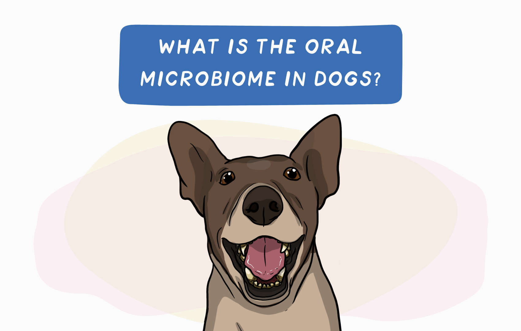 What is the Oral Microbiome in Dogs?