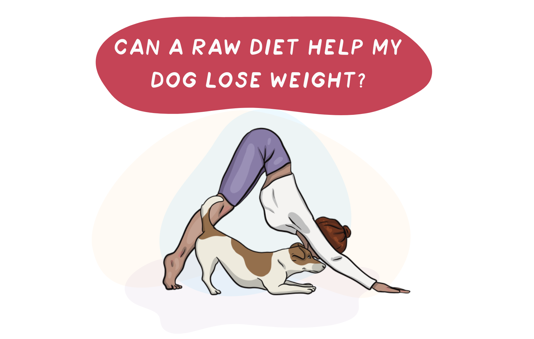 Can A Raw Diet Help My Dog Lose Weight?