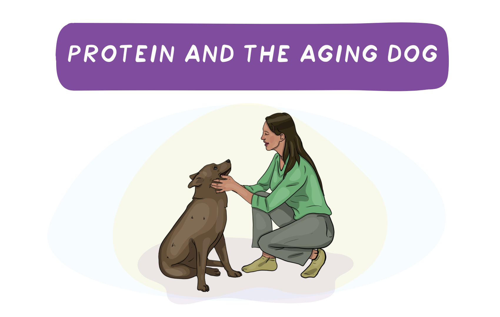 Your Aging Dog's Protein Requirements