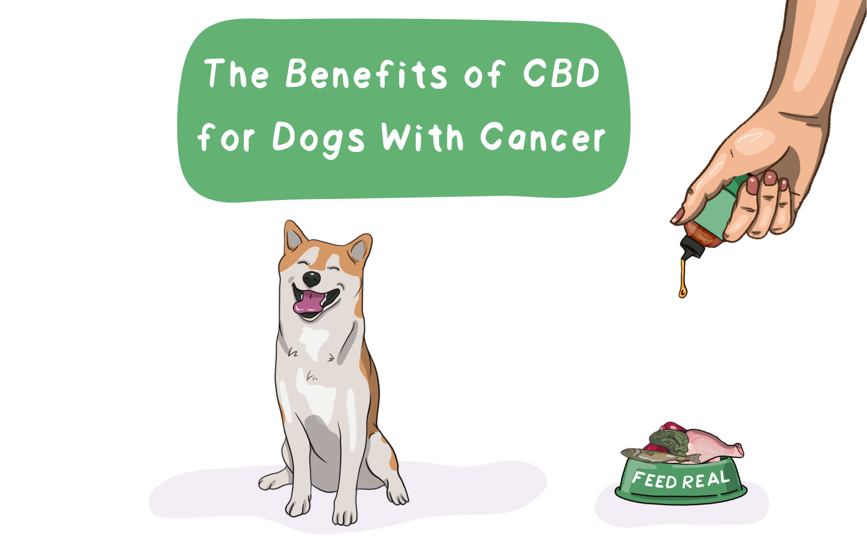 The Benefits of CBD for Dogs With Cancer