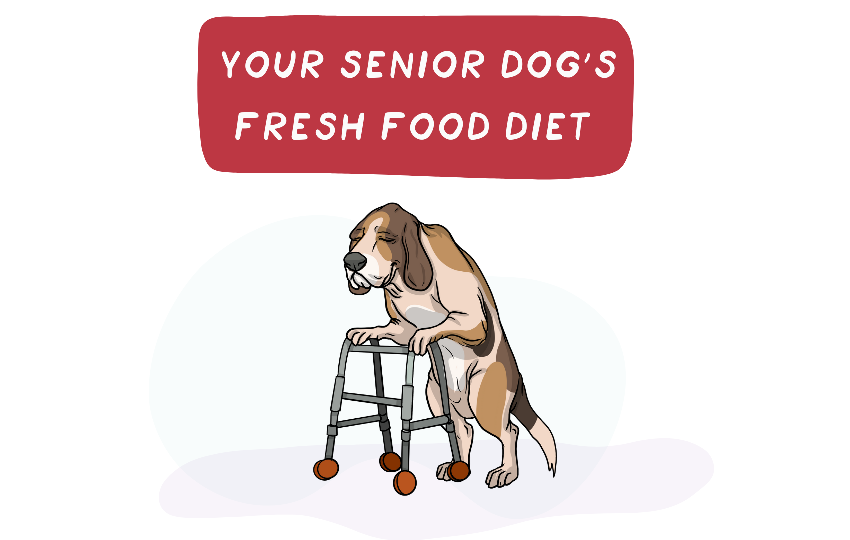 Your Senior Dog's Fresh Food Diet