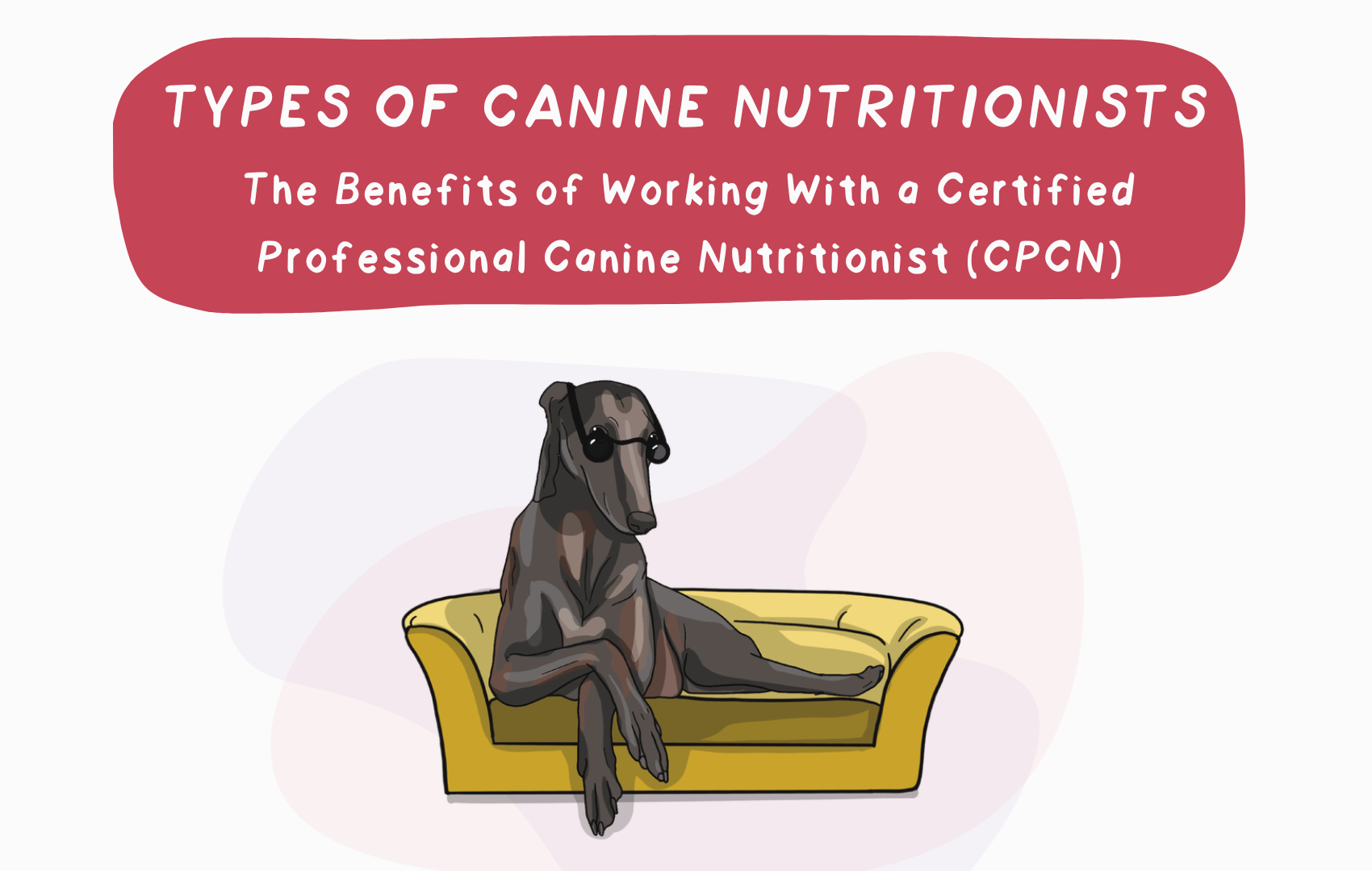 Types of Canine Nutritionists: The Benefits of Working With a Certified Professional Canine Nutritionist (CPCN)