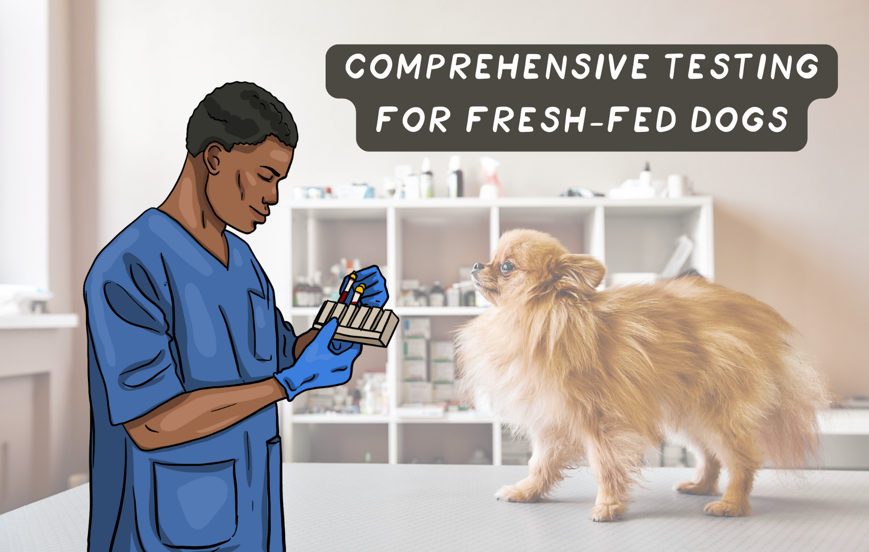 Comprehensive Testing for Fresh-Fed Dogs: How to Optimize Your Dog's Health
