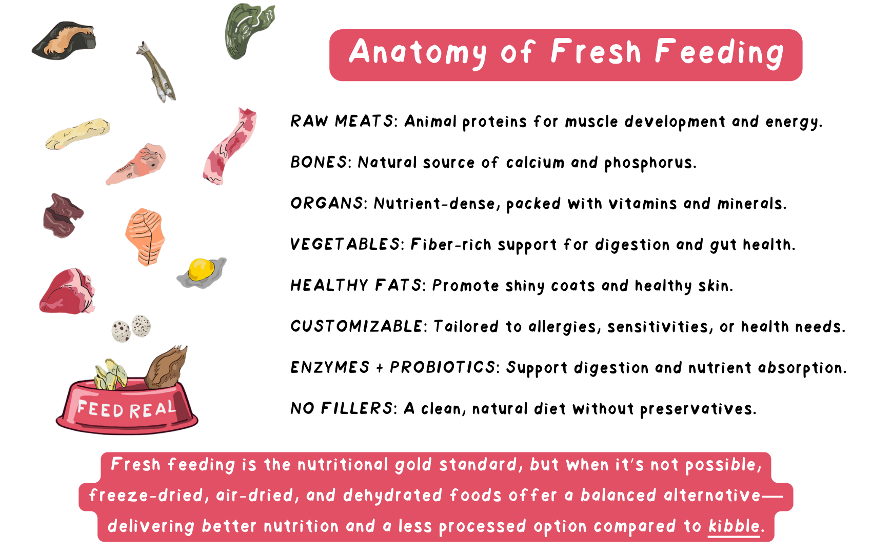 cactus succulent plant Succulent Plants, Fully Rooted in Planter Pots with Soil  Eco Trade Company