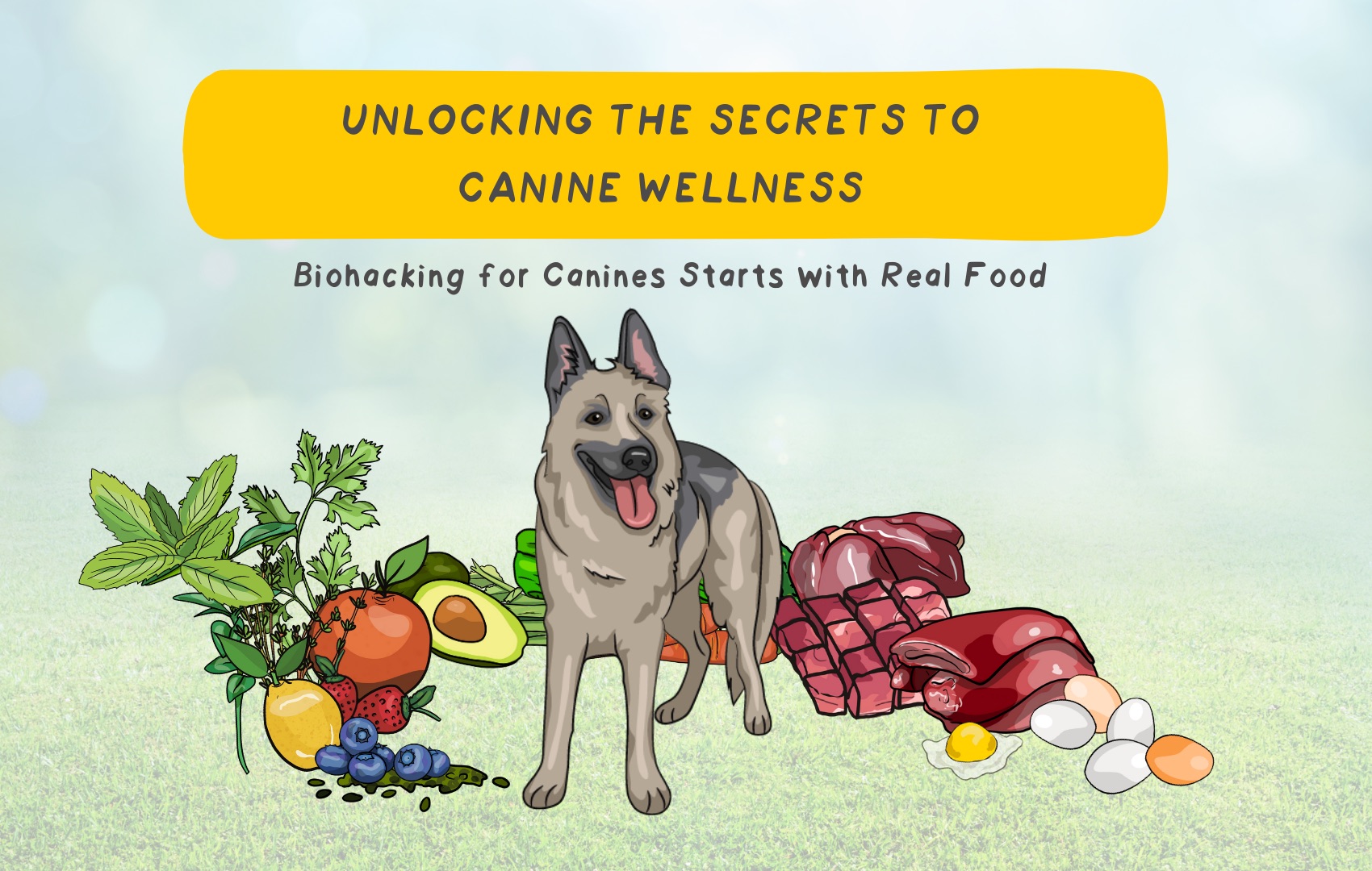 Unlocking the Secrets to Canine Wellness: Biohacking for Canines Starts with Real Food
