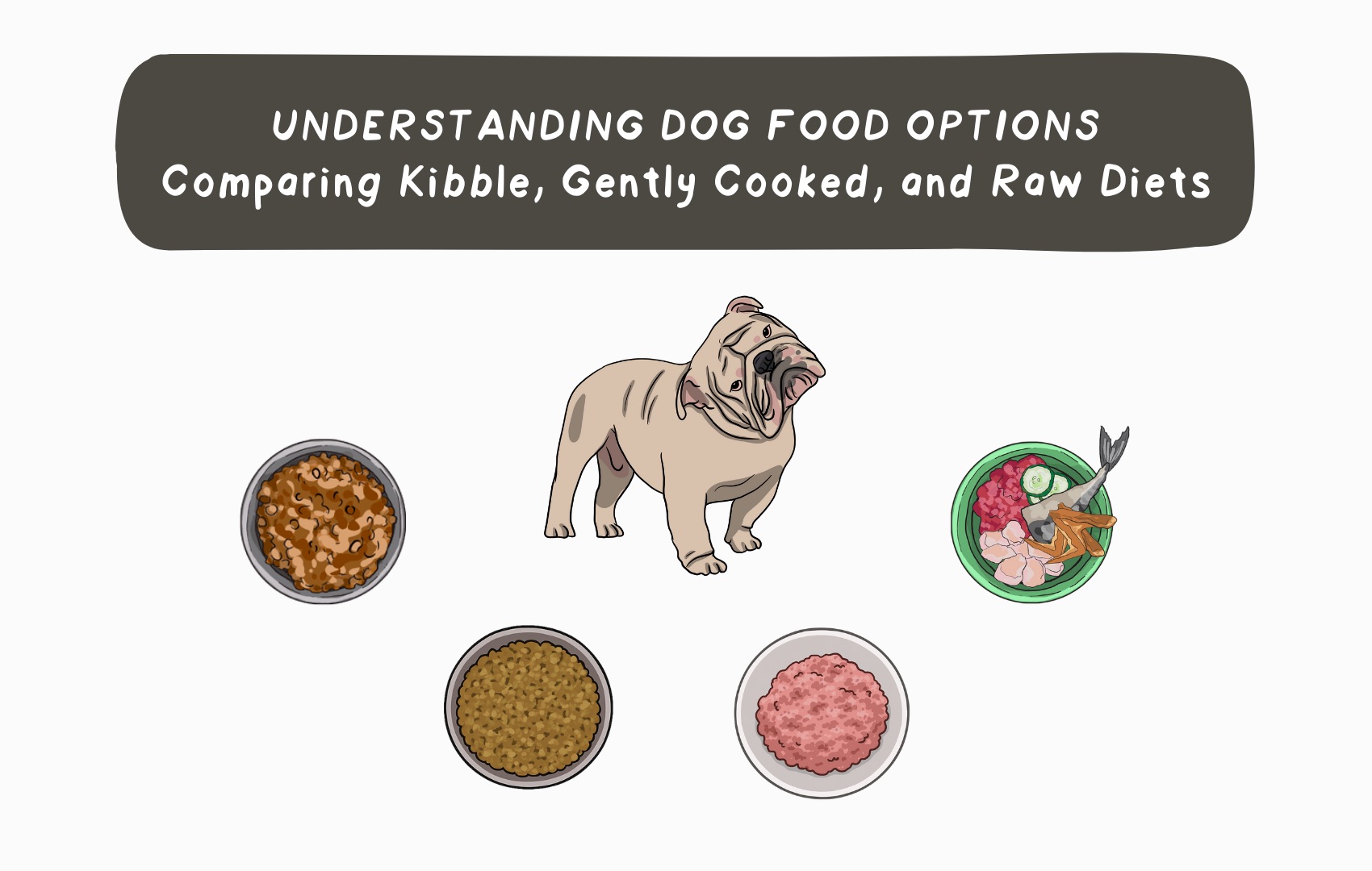 Understanding Dog Food Options: Comparing Kibble, Gently Cooked, and Raw Diets