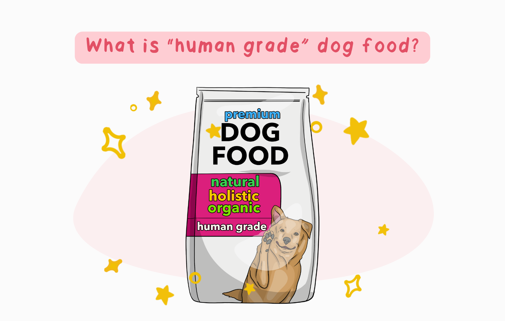 What Is Human Grade Dog Food