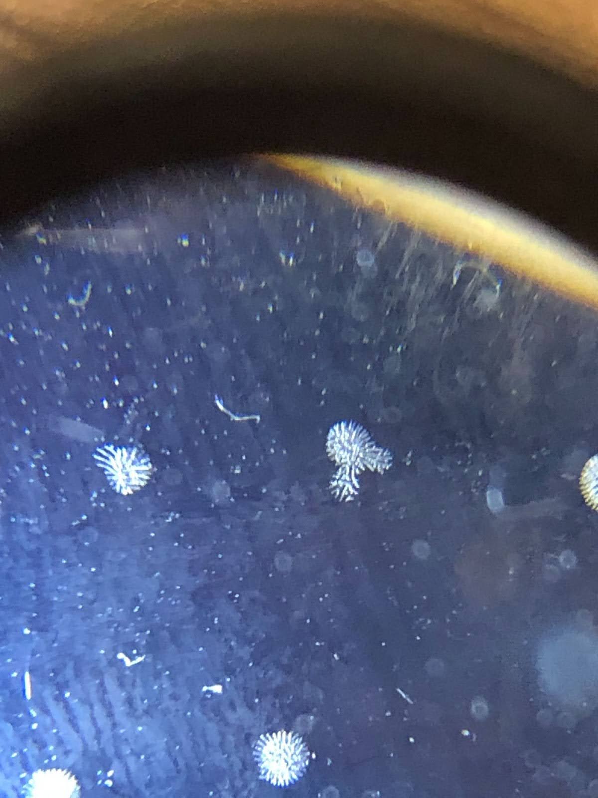 薄膜空化示例一