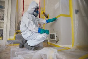mold damage ServiceMaster by Lovejoy