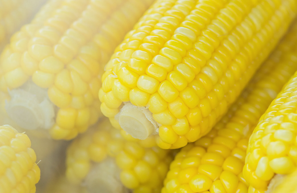 How to Make Creamed Corn from Scratch at Home - Seven Sons Farms