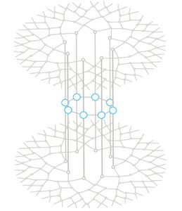 Many_electron_screen