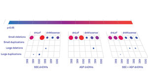 Gene set enrichment identifies classes of genes that may have an association with disease phenotypes. In this figure, the enrichment of genes within de novo copy number variants (dnCNVs) is shown by the size and color of the circles. Adapted from S. Sanders et al. Neuron 87, 1215-1233 (2015).