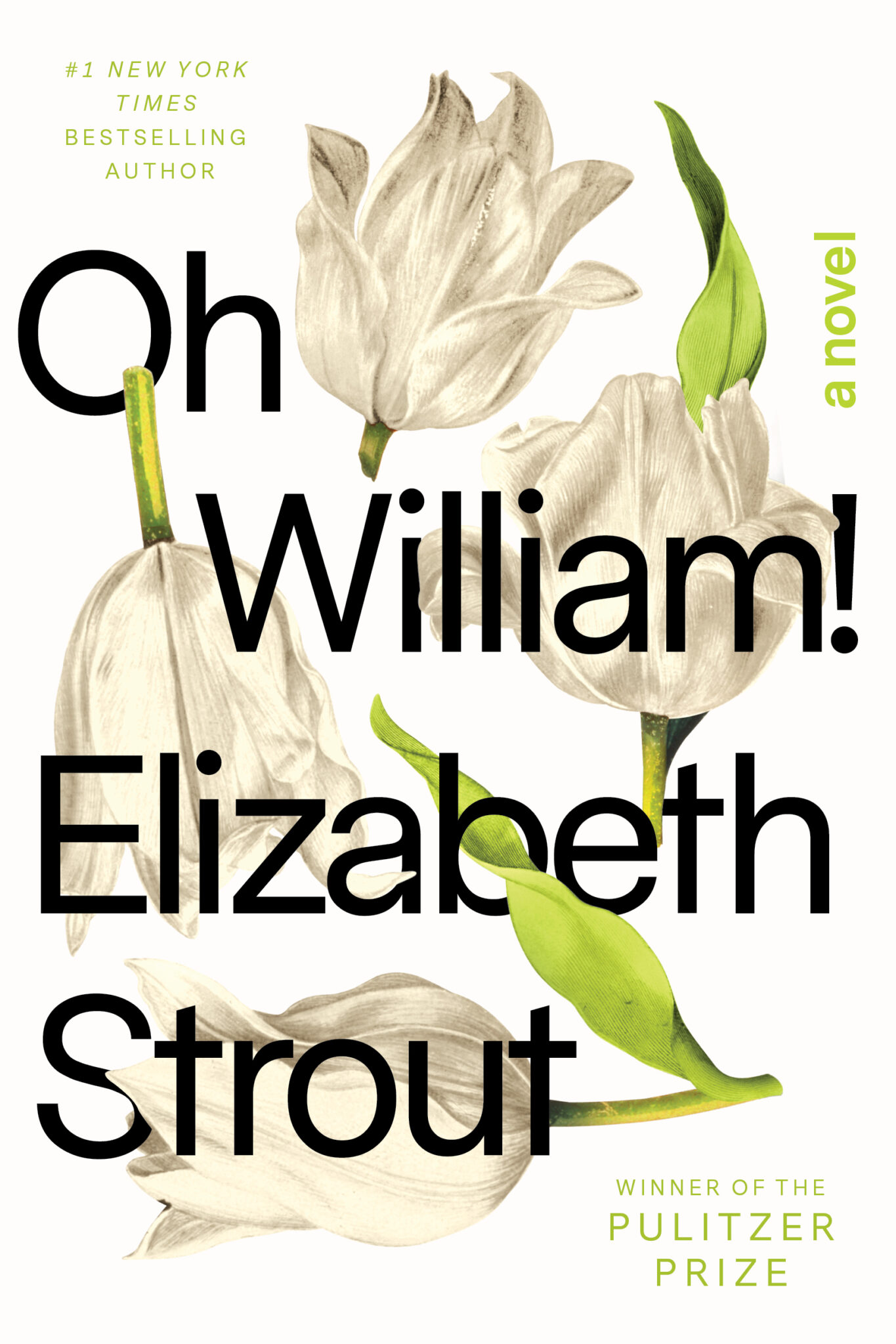 Review Elizabeth Strout's 'Oh William!' is a poignant master class on