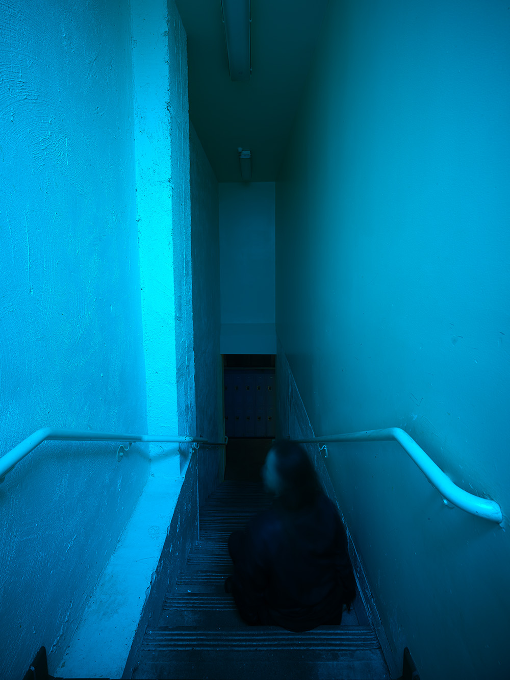 For-Site's 'Lands End’ art exhibit offers an edifying journey through ...