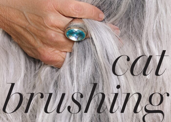 Review Story collection takes aim at aging with wit, sarcasm and a